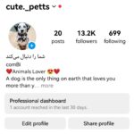 خرید پیج آماده اینستاگرام 13 کا فالوور | پیج آماده اینستاگرام 13 کایی | خرید پیج اینستاگرام | پیج آماده اینستا | اکانت اینستاگرام | اکانت آماده اینستاگرام 13 کایی | اکانت آماده اینستاگرام مناسب کسب و کار | پیج مناسب پت شاپ و حیوان خانگی