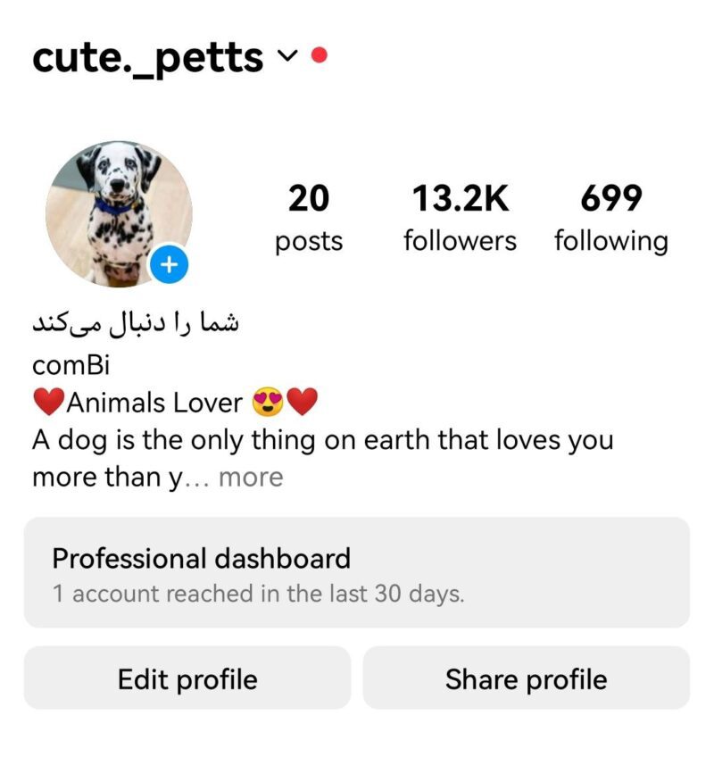 photo_2024-05-28_18-16-09 خرید پیج آماده اینستاگرام 13 کا فالوور | پیج آماده اینستاگرام 13 کایی | خرید پیج اینستاگرام | پیج آماده اینستا | اکانت اینستاگرام | اکانت آماده اینستاگرام 13 کایی | اکانت آماده اینستاگرام مناسب کسب و کار | پیج مناسب پت شاپ و حیوان خانگی - تصویر 1