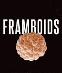 خرید و دانلود کتاب Framboids BY Rickard