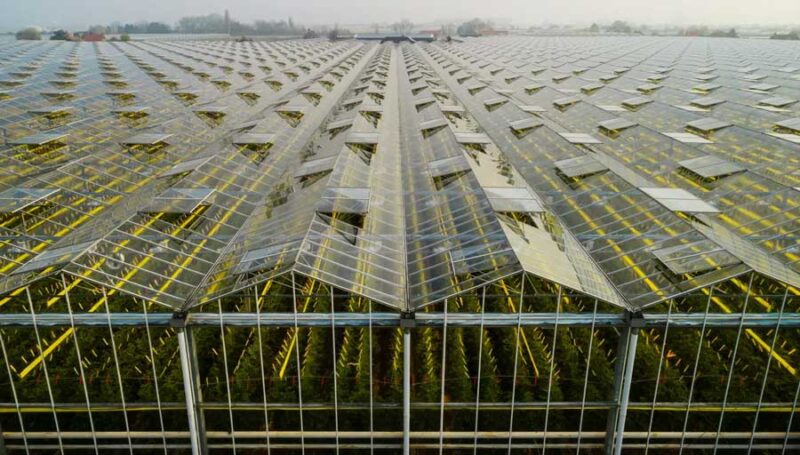 Greenhouse-town-0 خرید و دانلود طرح توجیهی شهرک گلخانه ای جهت مجوز و وام (0 تا 100) | فرصت سرمایهگذاری در صنعت کشاورزی - تصویر 1