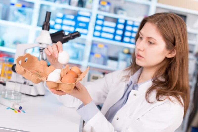 بررسي-و-آناليز-تخم-مرغ دانلود و خرید جزوه بررسی و آنالیز تخم مرغ - تصویر 1