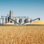 دانلود و خرید جزوه درس تکنولوژی غلات