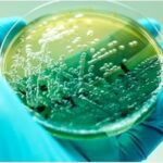 دانلود و خرید جزوه درس میکروبیولوژی عمومی