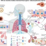خرید و دانلود مقاله درس فیزیولوژی تنفس