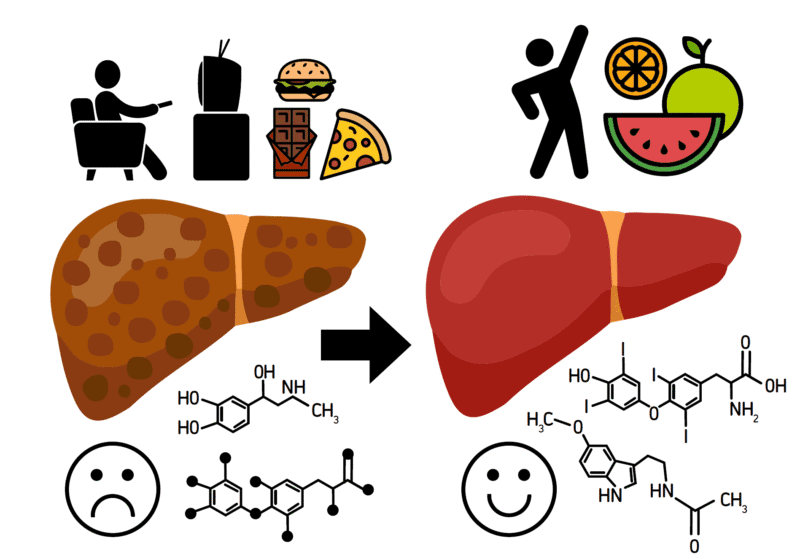 خرید و دانلود جزوه اصول تغذیه در کبد چرب - تصویر 1