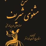 خرید و دانلود نسخه کامل کتاب شرح مثنوی شریف (جلد دوم) اثر مولانا جلال‌الدین محمد بلخی مولوی و بدیع الزمان فروزانفر 