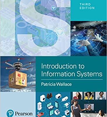 خرید و دانلود کتاب Introduction to Information Systems: People, Technology and Processes