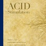 خرید و دانلود نسخه کامل کتاب Acid Stimulation
