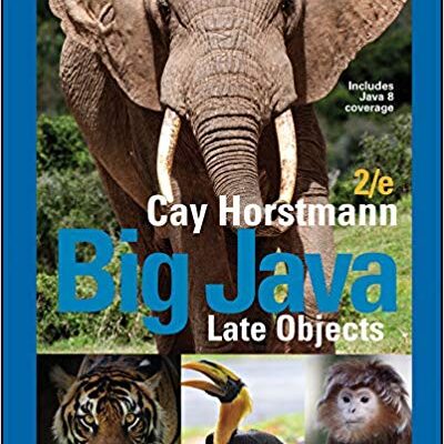 خرید و دانلود نسخه کامل کتاب Big Java: Late Objects (2nd Edition)