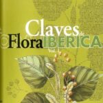 خرید و دانلود نسخه کامل کتاب Claves de flora iberica : plantas vasculares de la PenAinsula IbAerica e Islas Baleares – PDF