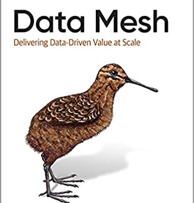 خرید و دانلود نسخه کامل کتاب Data Mesh: Delivering Data-Driven Value at Scale – Pdf