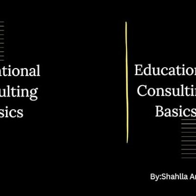 خرید و دانلود نسخه کامل کتاب Educational Consulting Basics – + Pdf