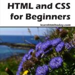 خرید و دانلود نسخه کامل کتاب HTML and CSS for Beginners –  Pdf