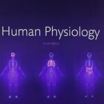 خرید و دانلود نسخه کامل کتاب Human Physiology (4th Edition) BY Pocock – Pdf