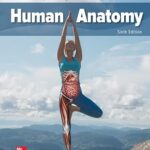 خرید و دانلود نسخه کامل کتاب ISE Human Anatomy – PDF