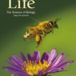 خرید و دانلود نسخه کامل کتاب Life: The Science of Biology (12th Edition) [2020] –  +  Pdf