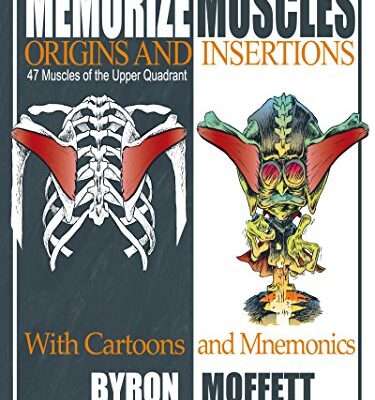 خرید و دانلود نسخه کامل کتاب Memorize Muscles, Origins, and Insertions with Cartoons and Mnemonics: 47 Muscles of the Upper Quadrant – Pdf