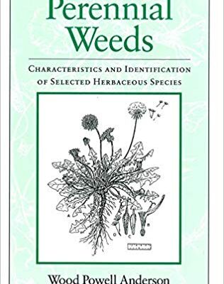 خرید و دانلود نسخه کامل کتاب Perennial Weeds: Characteristics and Identification of Selected Herbaceous Species