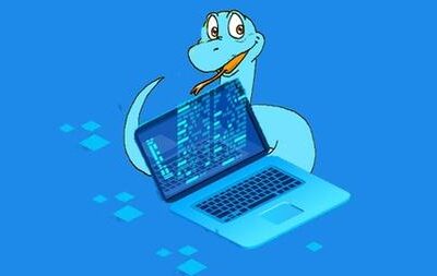 خرید و دانلود نسخه کامل کتاب Python Programming for Beginners – Every Code line Explained