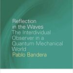 خرید و دانلود نسخه کامل کتاب Reflection in the Waves: The Interdividual Observer in a Quantum Mechanical World (Breakthroughs in Mimetic Theory)