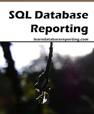 خرید و دانلود نسخه کامل کتاب SQL Database Reporting (Skills Today) –  Pdf