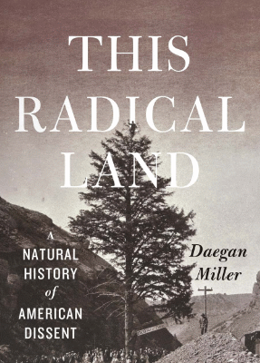 خرید و دانلود نسخه کامل کتاب THIS RADICAL LAND – PDF