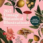 خرید و دانلود نسخه کامل کتاب Vintage Botanical Illustration: Copyright-Free s for Artists, Designers and Plant Lovers – + pdf