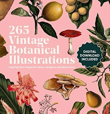 خرید و دانلود نسخه کامل کتاب Vintage Botanical Illustration: Copyright-Free s for Artists, Designers and Plant Lovers – + pdf