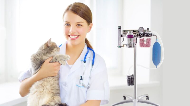 خرید و دانلود جزوه اصول هوشبری دامپزشکی - تصویر 1