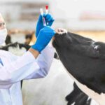 دانلود و خرید جزوه داروهای دامپزشکی و بهداشت عمومی