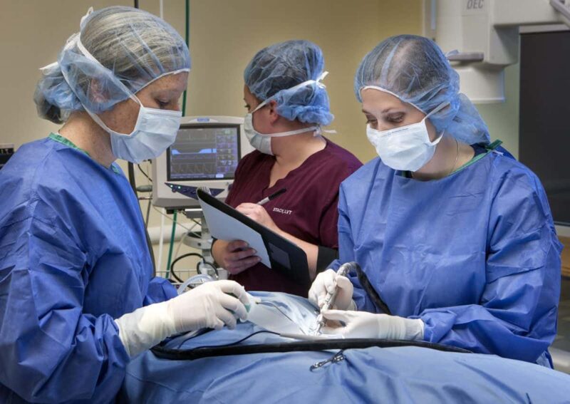 جزوه-درس-اصول-جراحي-دامپزشكي دانلود و خرید جزوه درس اصول جراحی دامپزشکی - تصویر 1