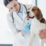 دانلود و خرید جزوه درس اصول معاینه دام کوچک