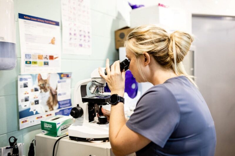 جزوه-درس-كلينيكال-پاتولوژي-دامپزشكي دانلود و خرید جزوه درس کلینیکال پاتولوژی دامپزشکی - تصویر 1