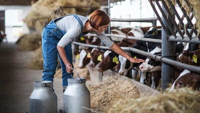 دانلود و خرید جزوه درس بهداشت و صنایع شیر - تصویر 1