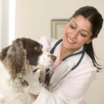 دانلود و خرید جزوه کرم شناسی دامپزشکی (Veterinary Helminthology)