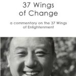 خرید و دانلود نسخه کامل کتاب 37 Wings of Change  –  +  pdf