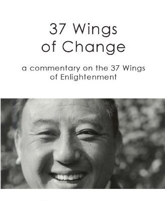 خرید و دانلود نسخه کامل کتاب 37 Wings of Change  –  +  pdf