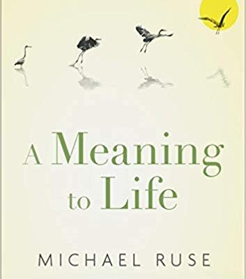 خرید و دانلود نسخه کامل کتاب A Meaning to Life (Philosophy in Action)