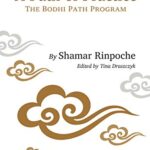 خرید و دانلود نسخه کامل کتاب A Path of Practice: The Bodhi Path Program –  +  pdf