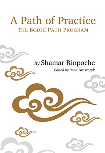 خرید و دانلود نسخه کامل کتاب A Path of Practice: The Bodhi Path Program – + pdf_684611d81fc4a.jpeg خرید و دانلود نسخه کامل کتاب A Path of Practice: The Bodhi Path Program – + pdf