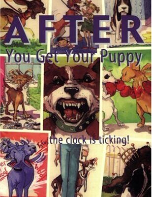 خرید و دانلود نسخه کامل کتاب After You Get Your Puppy – PDF