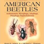 خرید و دانلود نسخه کامل کتاب American Beetles, Volume I: Archostemata, Myxophaga, Adephaga, Polyphaga: Staphyliniformia –  PDF