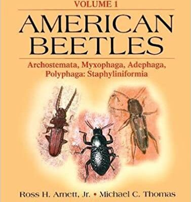 خرید و دانلود نسخه کامل کتاب American Beetles, Volume I: Archostemata, Myxophaga, Adephaga, Polyphaga: Staphyliniformia –  PDF