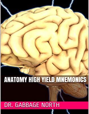 خرید و دانلود نسخه کامل کتاب Anatomy High Yield Mnemonics [2019] –  +  pdf
