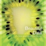 خرید و دانلود نسخه کامل کتاب Beautiful Data