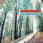 خرید و دانلود نسخه کامل کتاب Beginning Algebra (13th Edition) [2020] –  PDF