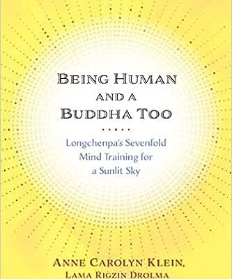 خرید و دانلود نسخه کامل کتاب Being Human and a Buddha Too: Longchenpa’s Seven Trainings for a Sunlit Sky – + Pdf