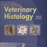 خرید و دانلود نسخه کامل کتاب color atlas of veterinary histology 2th edition – PDF