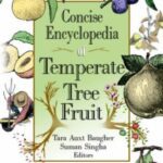 خرید و دانلود نسخه کامل کتاب Concise Encyclopedia of Temperate Tree Fruit – PDF