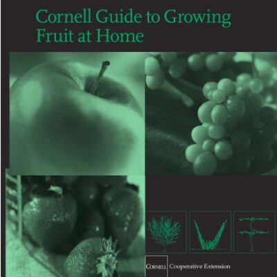 خرید و دانلود نسخه کامل کتاب Cornell Guide to Growing Fruit at Home – PDF